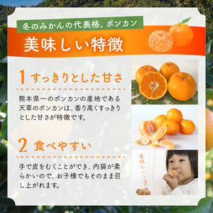 S142-001A_天草ポンカン 約5kg箱【先行受付】