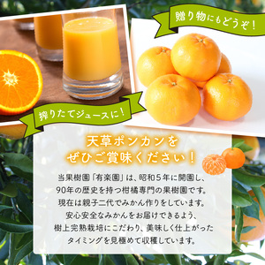 S142-001A_天草ポンカン 約5kg箱【先行受付】