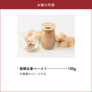S143-003_発酵生姜ペースト