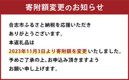 熊本県 合志の旬の お野菜 定期便 年10回 コース