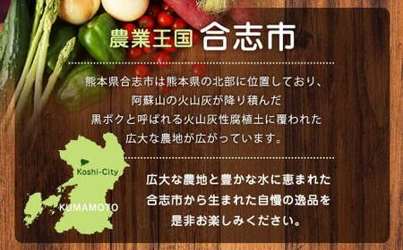 熊本県 合志の旬の お野菜 定期便 年10回 コース