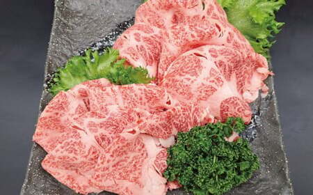 【 6ヶ月 定期便 】 熊本県産 A5等級 黒毛和牛 和王 食べ比べ 牛肉 和牛 国産