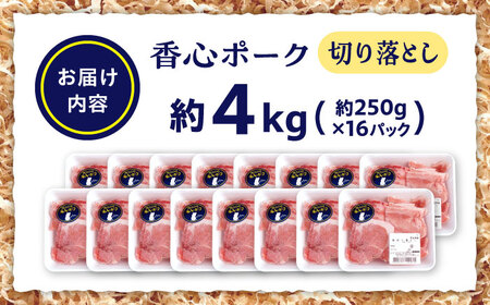 『香心ポーク』 切り落とし 約250g×16パック（計約4kg）豚肉切り落とし 冷凍 熊本県産 [AYCK001]