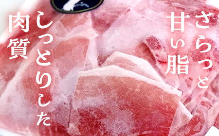 『香心ポーク』 切り落とし 約250g×16パック（計約4kg）豚肉切り落とし 冷凍 熊本県産 [AYCK001]