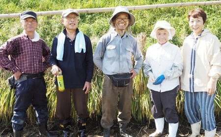 【令和5年産】わぶ城湧水農園 精米 5kg くまさんの輝き お米 熊本県