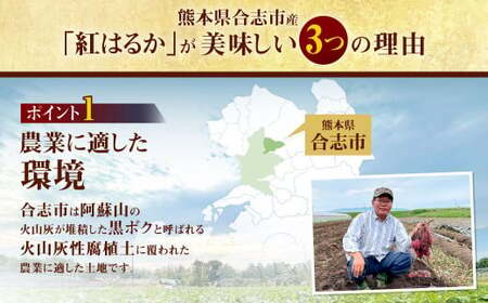 【訳あり】 紅はるか 家庭向け さつまいも 約12kg 1箱 常温 【2024年10月下旬発送開始 予約受付】