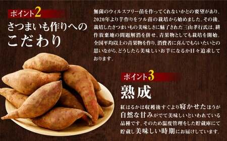 【訳あり】 紅はるか 家庭向け さつまいも 約12kg 1箱 常温 【2024年10月下旬発送開始 予約受付】