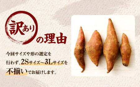 【訳あり】 紅はるか 家庭向け さつまいも 約12kg 1箱 常温 【2024年10月下旬発送開始 予約受付】