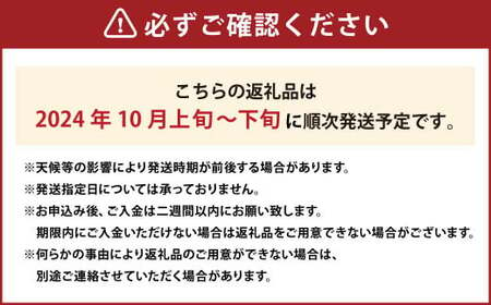 熊本県 合志産 ハロウィンスイカ 1玉入 約5～6kg 【2024年10月上旬～10月下旬発送予定】スイカ 西瓜 果物 フルーツ お取り寄せ