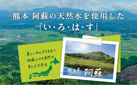 【全6回定期便】い・ろ・は・す 阿蘇の天然水 540ml 48本 計288本 540ml×24本×2ケース  ミネラルウオーター【コカ・コーラボトラーズジャパン株式会社】[AYAA024]