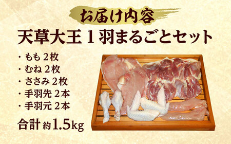 天草大王 1羽まるごとセット 計約1.5kg  鶏肉[AYAB011]