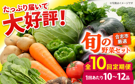 【年10回コース定期便】合志の旬のお野菜10～12品目 野菜定期便[AYAB013]