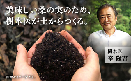 峯樹木園 桑の実ジュース 500ml ジュース[AYAB016]