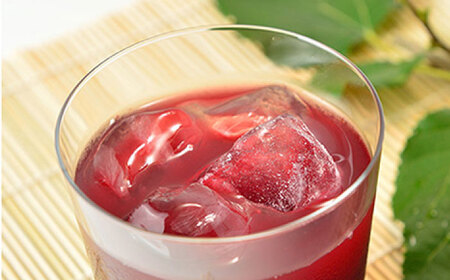 峯樹木園 桑の実ジュース 500ml×2本セット ジュース[AYAB019]