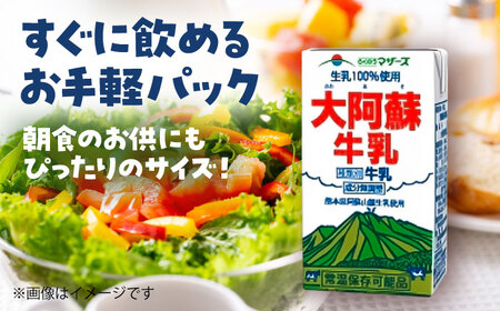 大阿蘇 牛乳 250ml×24本入 1ケース 成分無調整 牛乳[AYAB021]