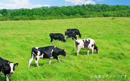 大阿蘇 牛乳 250ml×24本入 1ケース 成分無調整 牛乳[AYAB021]