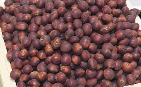 熊本県産　赤大豆きなこ　200g×5袋 きなこ[AYAB052]