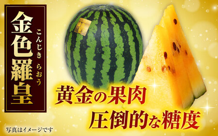 【2026年発送分 先行予約】【数量限定】金色羅皇 1玉入（約8kg） スイカ[AYAB061]