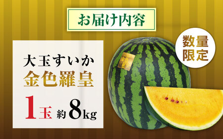 【2026年発送分 先行予約】【数量限定】金色羅皇 1玉入（約8kg） スイカ[AYAB061]