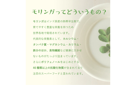 幸恵ファーム　純100％モリンガなめらかパウダー 30g×2個入 モリンガ[AYAB064]