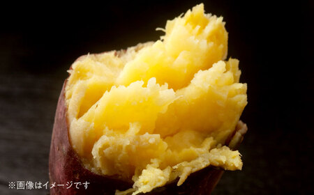 【先行予約】 訳あり 数量限定 紅はるか さつまいも 約10kg 1箱 紅はるか[AYAJ005]