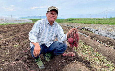 【先行予約】 訳あり 数量限定 紅はるか さつまいも 約10kg 1箱 紅はるか[AYAJ005]