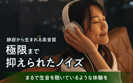 CAP-1003 （ コンパクトヘッドフォンアンプ ） 約180g 音響機器 コンパクト オーディオ[AYAP006]