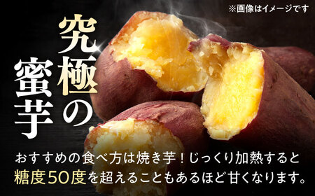 紅はるか 秀品 約5kg S～2Lサイズ混合 さつまいも[AYAT004]