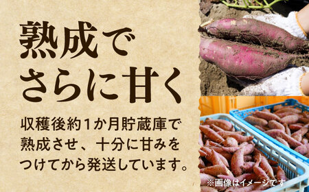 紅はるか 秀品 約5kg S～2Lサイズ混合 さつまいも[AYAT004]