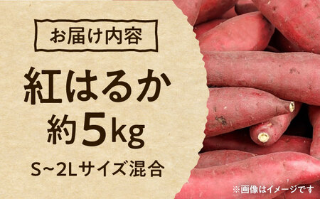 紅はるか 秀品 約5kg S～2Lサイズ混合 さつまいも[AYAT004]