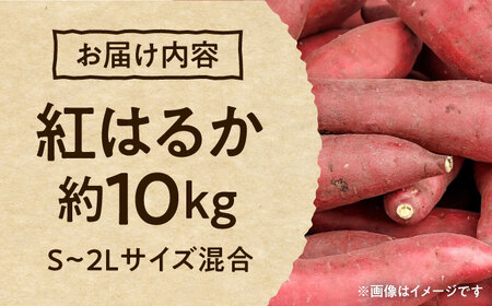 紅はるか 秀品 約10kg S～2Lサイズ混合 さつまいも[AYAT005]