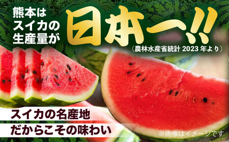 【2026年発送分先行予約 数量限定】大玉すいか 秀品 1玉 約6kg～9kg  スイカ[AYAT006]