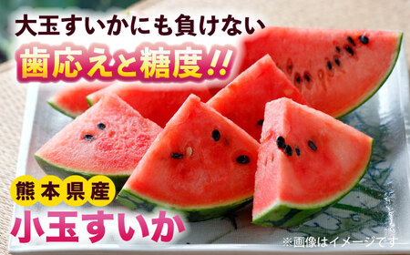 【2026年発送分先行予約 数量限定】訳あり 小玉すいか 2玉 約2kg～3kg スイカ [AYAT009]