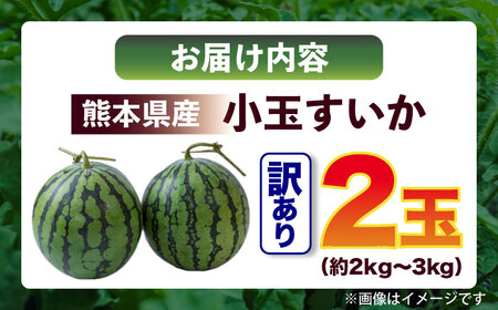【2026年発送分先行予約 数量限定】訳あり 小玉すいか 2玉 約2kg～3kg スイカ [AYAT009]