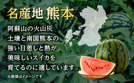 【2026年発送分先行予約】【数量限定】こだま西瓜 1箱約8kg (3L～M 3～6玉入り) すいか[AYAU003]