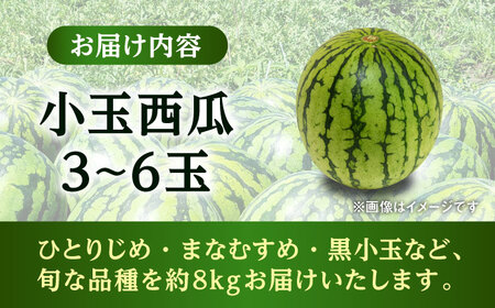 【2026年発送分先行予約】【数量限定】こだま西瓜 1箱約8kg (3L～M 3～6玉入り) すいか[AYAU003]