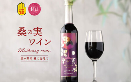 桑の実 ワイン （甘口） 500ml×1本 ワイン[AYBM003]