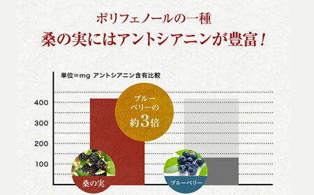 桑の実 ワイン （甘口・辛口） 500ml×2本  ワイン[AYBM006]