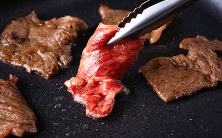 【全12回定期便】【訳あり】赤牛 焼肉用カット（バラ・ロース） 約500g / 不揃い あか牛 焼肉 熊本県産 冷凍[AYBV011]