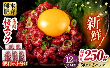 【全12回定期便】馬肉 さくらユッケ 50g×5パック 計250g 馬肉 桜ユッケ 赤身 [AYBV018]
