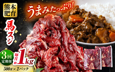 【全3回定期便】 馬スジ 計3kg 1回あたり1kg（500g×2パック） / 馬肉 スジ 筋 煮込み 冷凍[AYBV031]