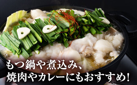 【全6回定期便】 赤牛 ホルモン 500g（250g×2パック） / 小腸 シロホルモン もつ 熊本県産 冷凍[AYBV038]