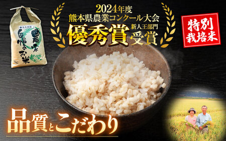 【令和7年度】 くまさんの輝き 玄米 5kg (1袋) 玄米[AYCC020]