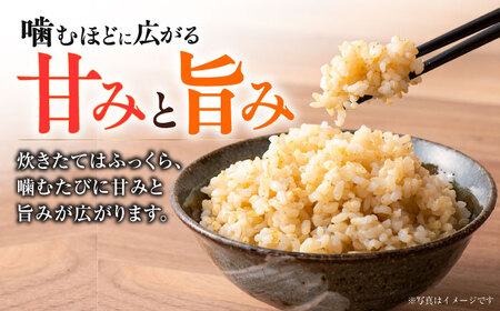 【令和7年度】 くまさんの輝き 玄米 5kg (1袋) 玄米[AYCC020]