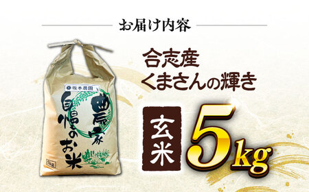 【令和7年度】 くまさんの輝き 玄米 5kg (1袋) 玄米[AYCC020]