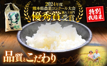 【令和7年度】 【全6回定期便】 くまさんの輝き 白米 10kg 計60kg 白米[AYCC036]