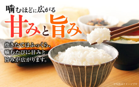 【令和7年度】 【全6回定期便】 くまさんの輝き 白米 10kg 計60kg 白米[AYCC036]