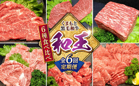 【全6回定期便】 熊本県産 A5等級 黒毛和牛 和王 食べ比べ 牛肉 和牛 国産 [AYCH057]