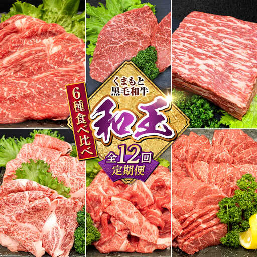 【全12回定期便】 熊本県産 A5等級 黒毛和牛 和王 食べ比べ 牛肉 和牛 国産 [AYCH058]