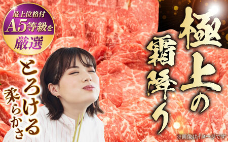 【年内発送】A5等級黒毛和牛 焼肉用 約400g  焼肉 [AYCH087]